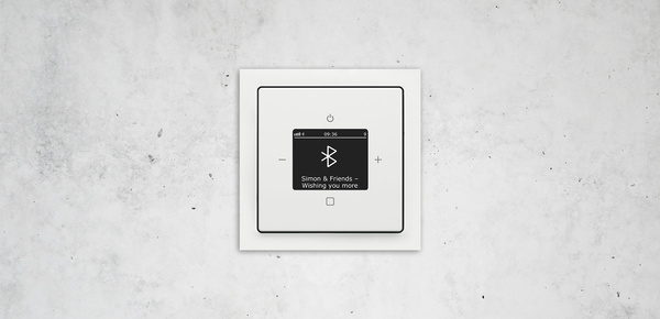 Busch-Radio Btconnect bei Elektro Haubner GmbH in Roth