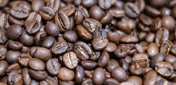 Kaffee­maschinen bei Elektro Haubner GmbH in Roth